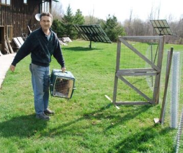 The Chickens Have Arrived! Image